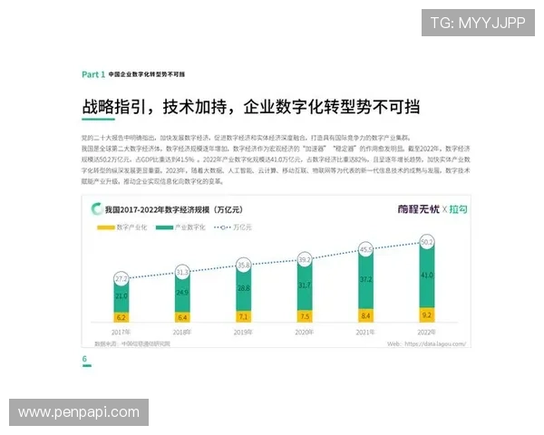 PA视讯集团引领行业创新,打造一站式视讯解决方案助力企业数字化转型